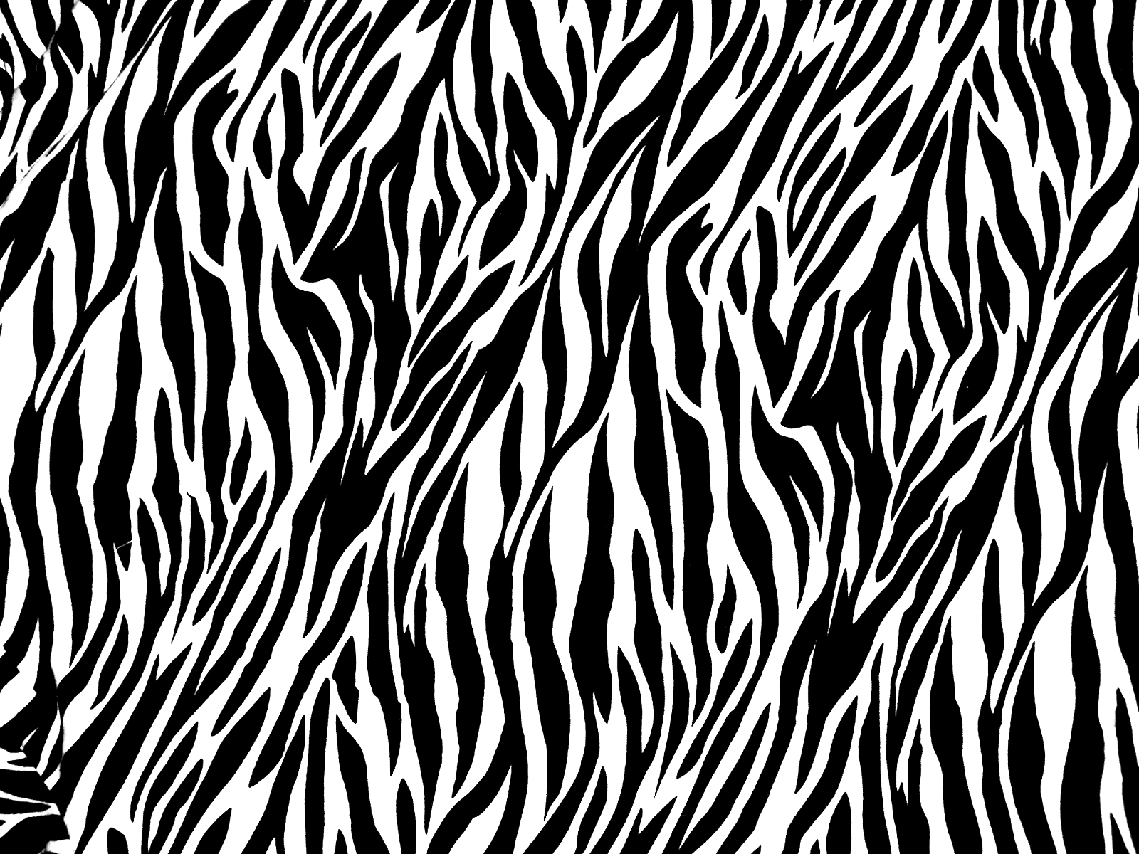 Zebra Print PNG Image Background