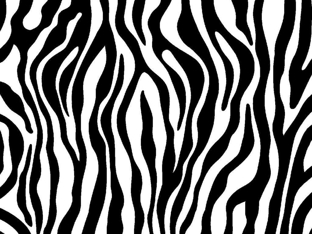 Zebra Background 8 X 768