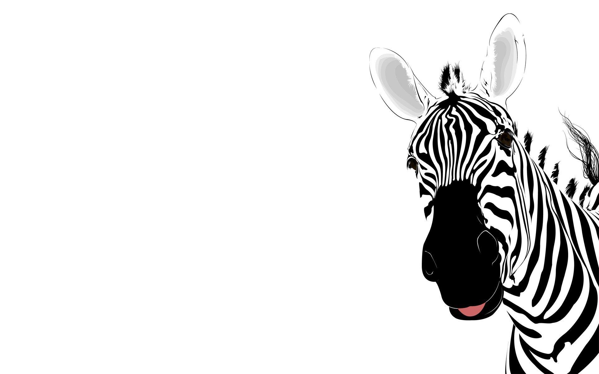 Free Zebra Animal Background For PowerPoint PPT