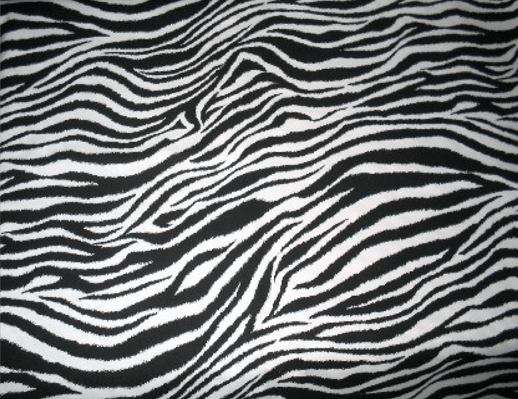 Zebra Background For Tumblr