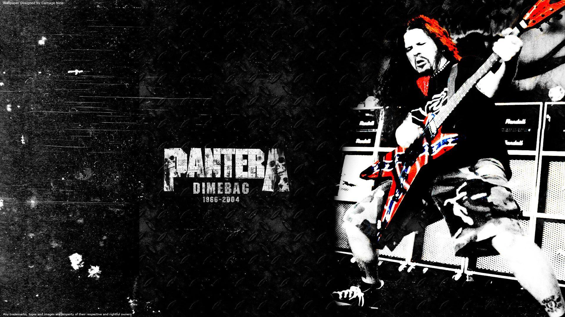 Pantera HD Wallpaperx1080