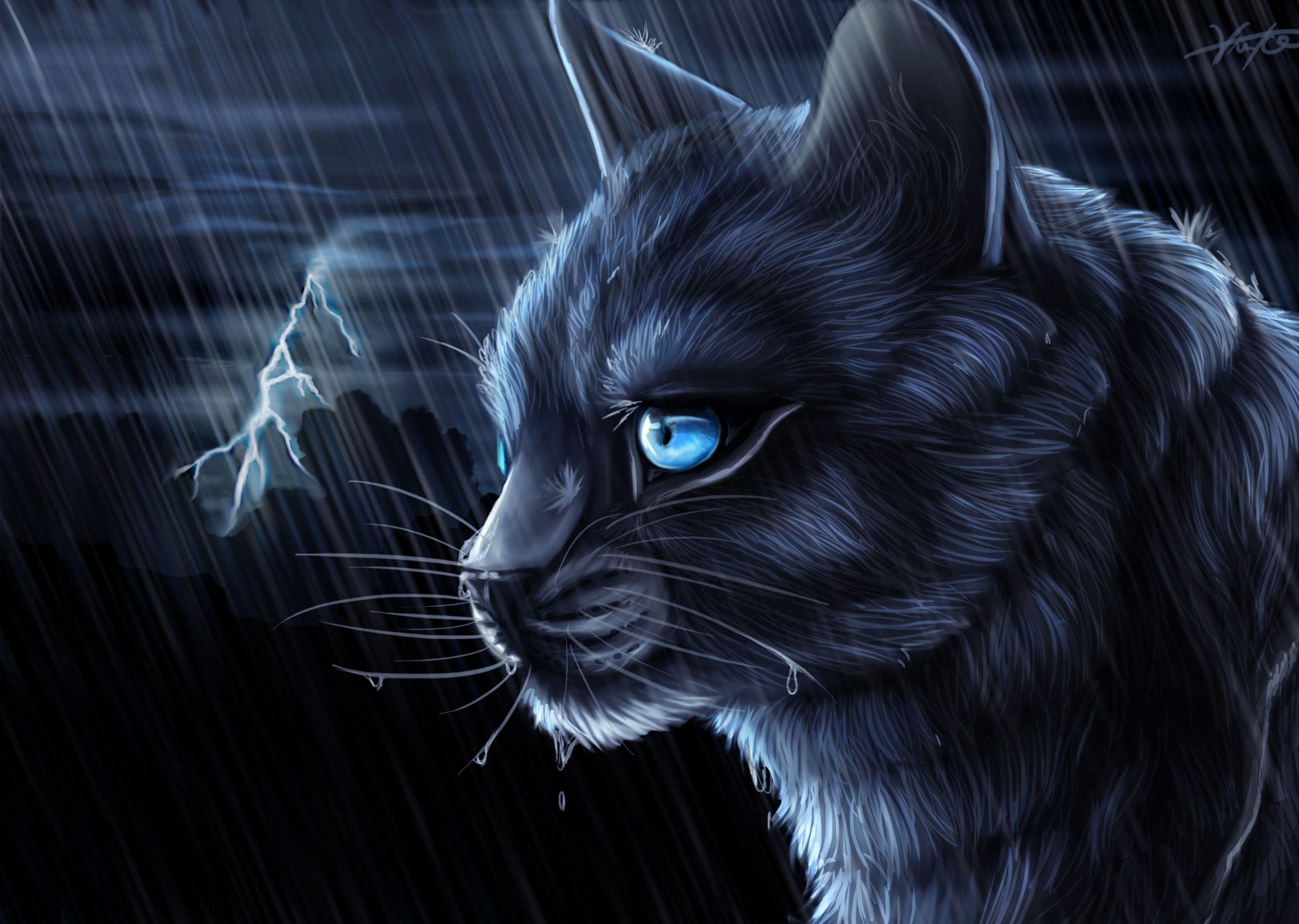 Warrior Cats - Scourge by Midnight19488 on DeviantArt