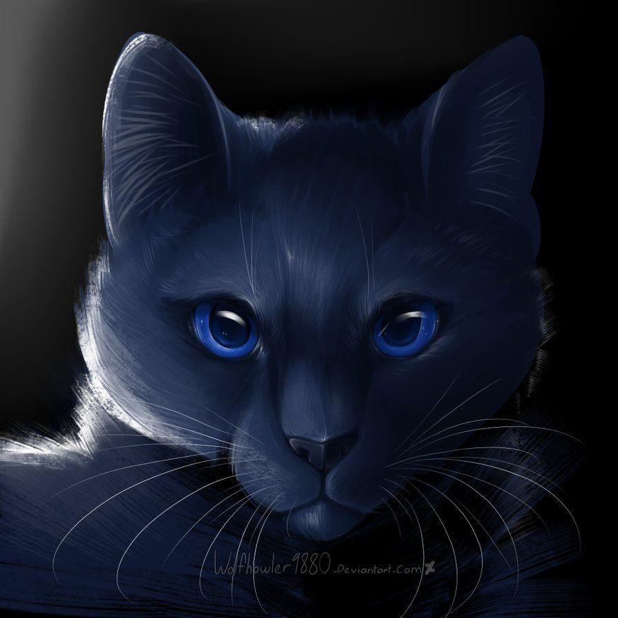 blue star warrior cats skins