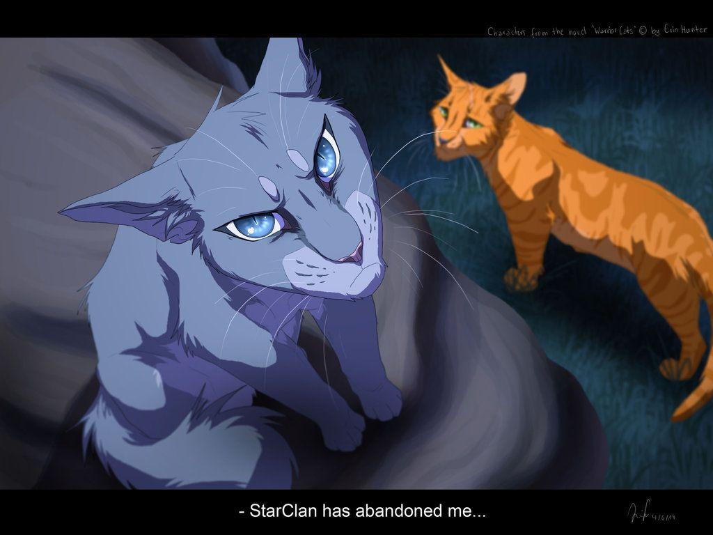 Warrior Cats Wallpapers Bluestar - Wallpaper Cave