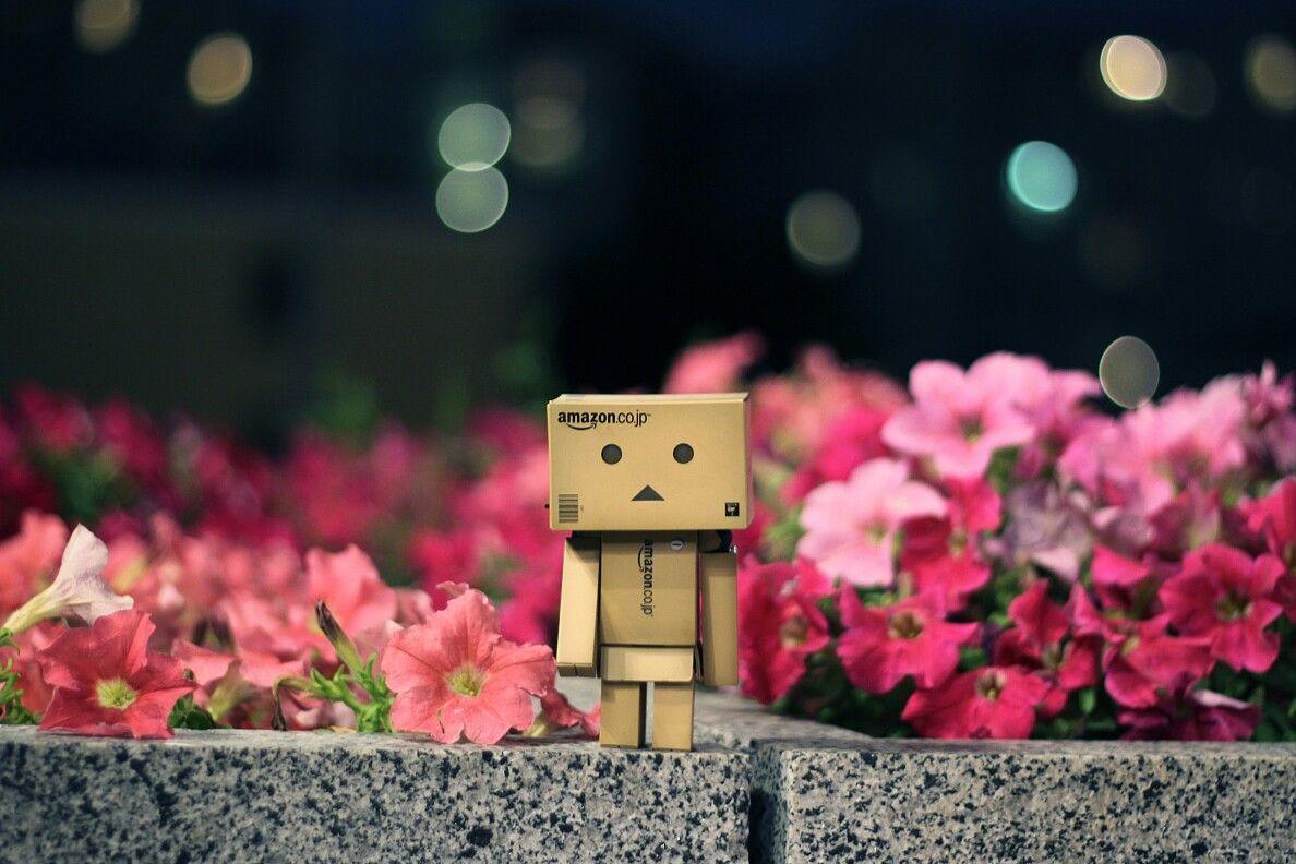 Danbo Wallpapers Liebe Wallpaper Cave