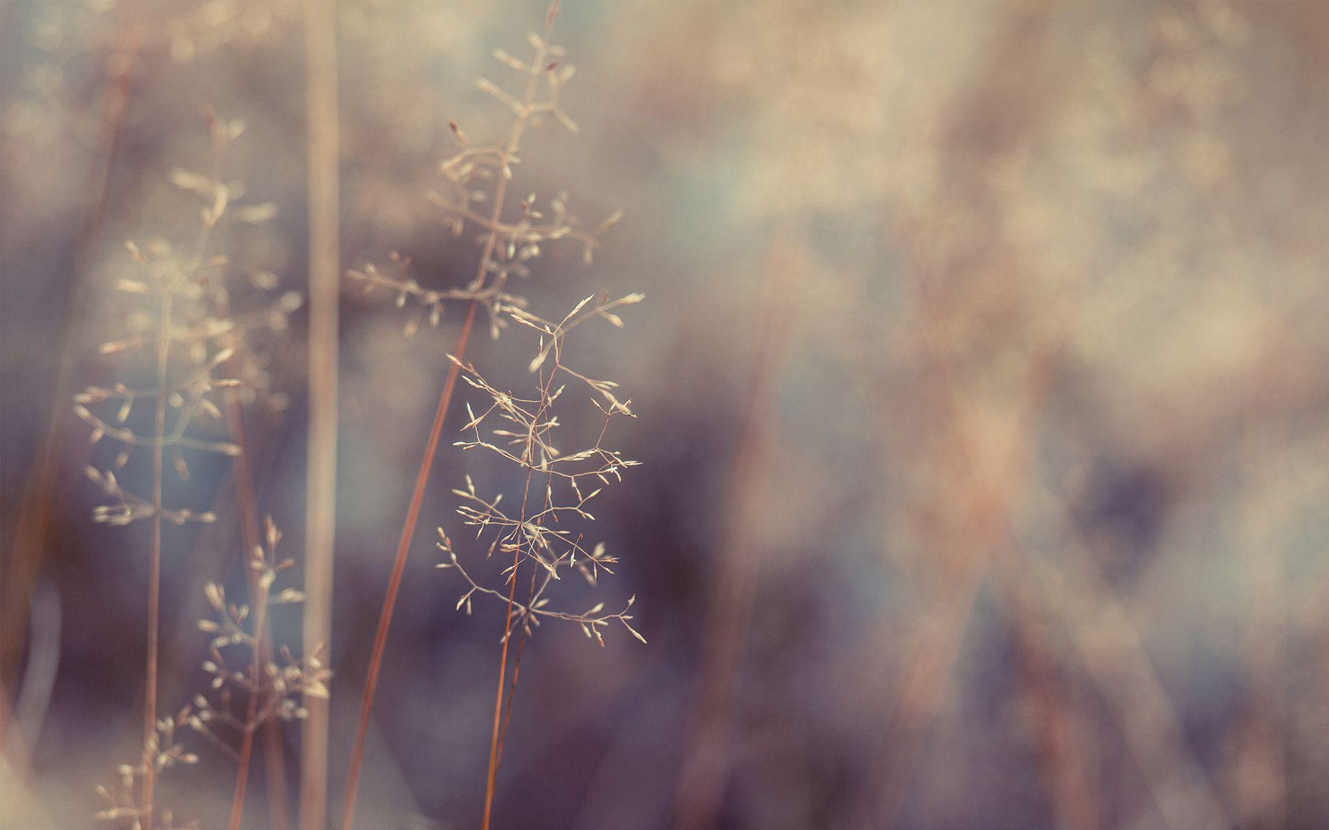 Download Hipster Wallpaper Hd 1920x1200