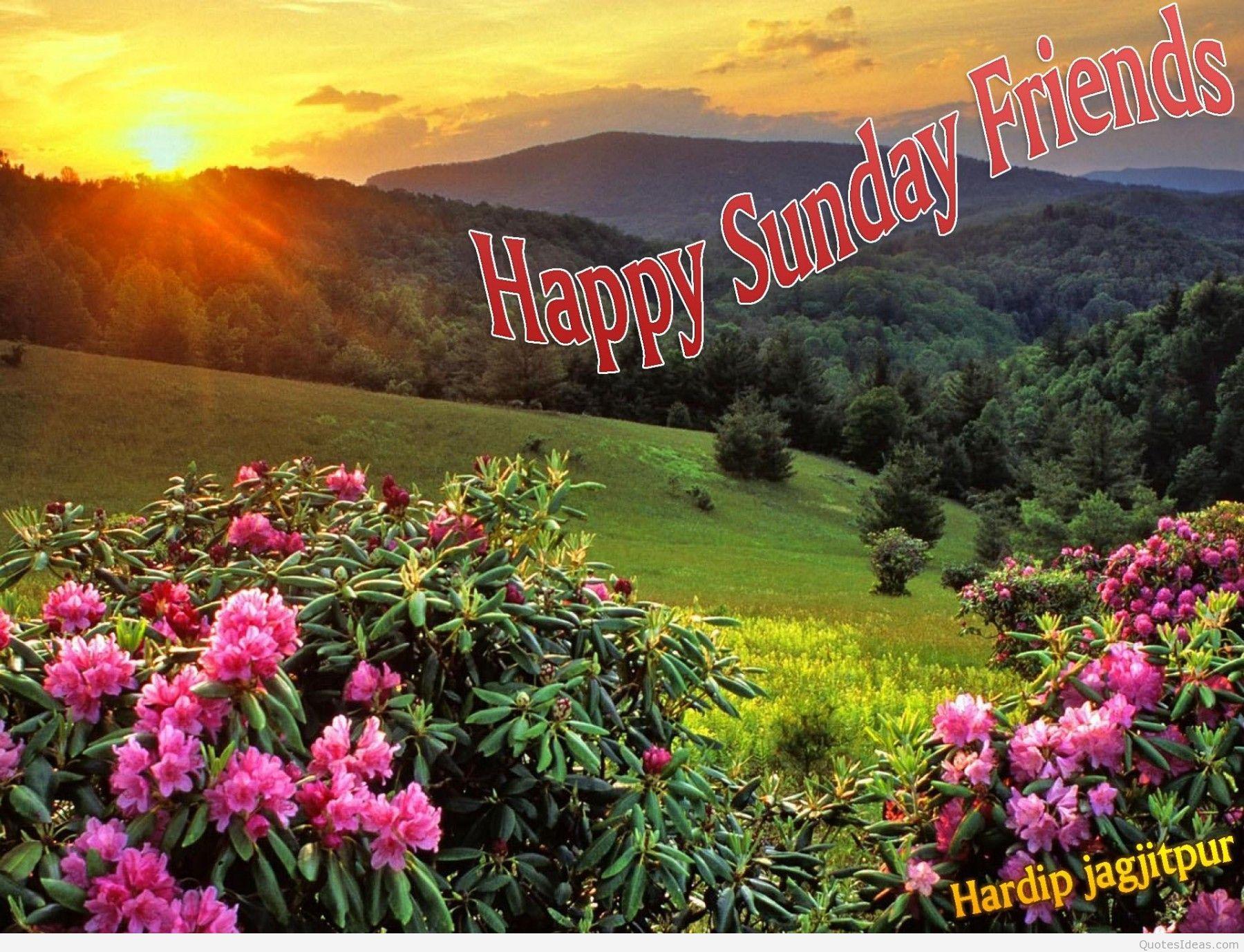 Happy Sunday Wallpaper Download (Picture)