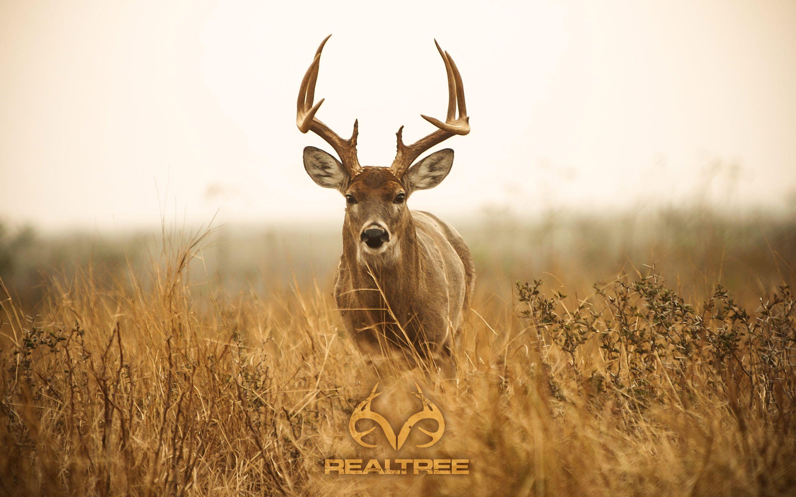 Realtree Gallery of Wallpaper. Free Download For Android