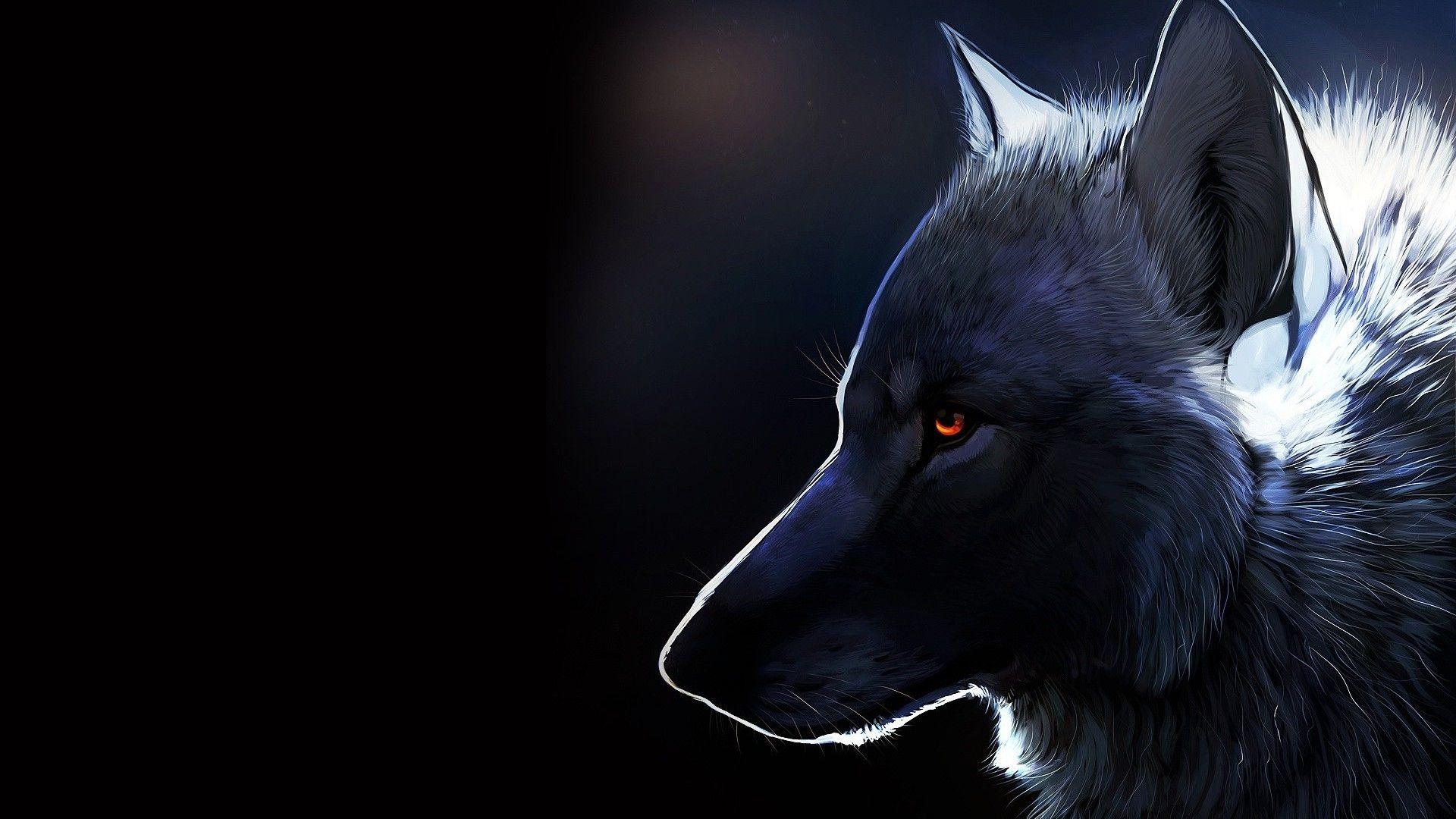 Wolf HD Pics