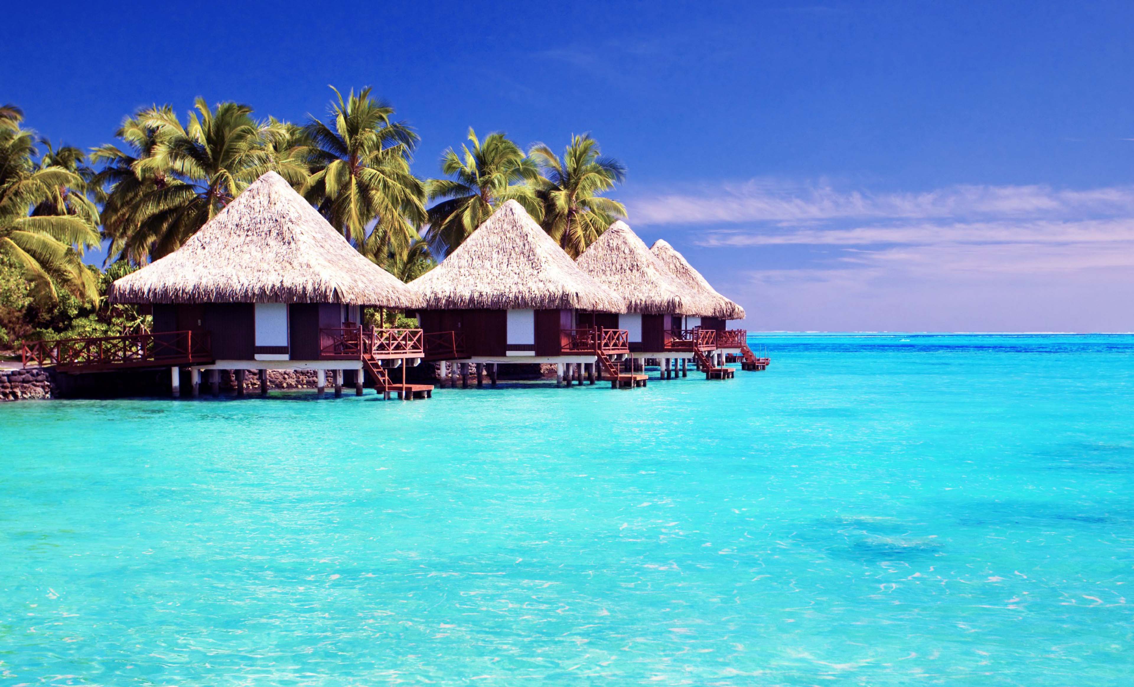 Summer Season Wallpaper