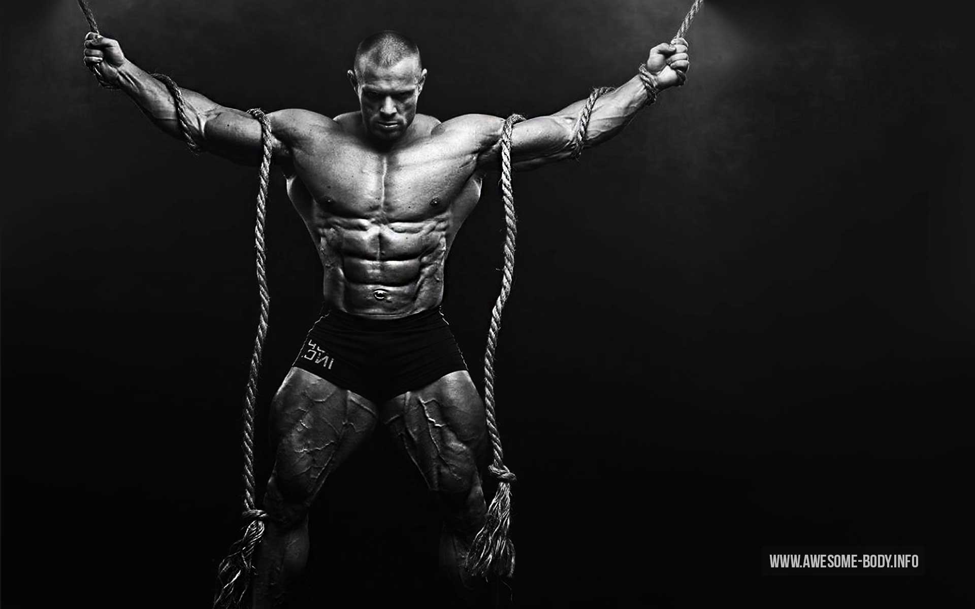 Bodybuilding Wallpapers For PC - Wallpaper Cave