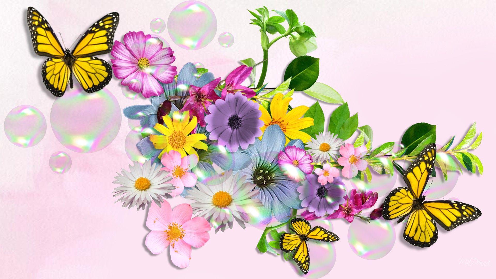 Butterfly Wallpaper, Impressive Photo of Butterfly, Colelction ID