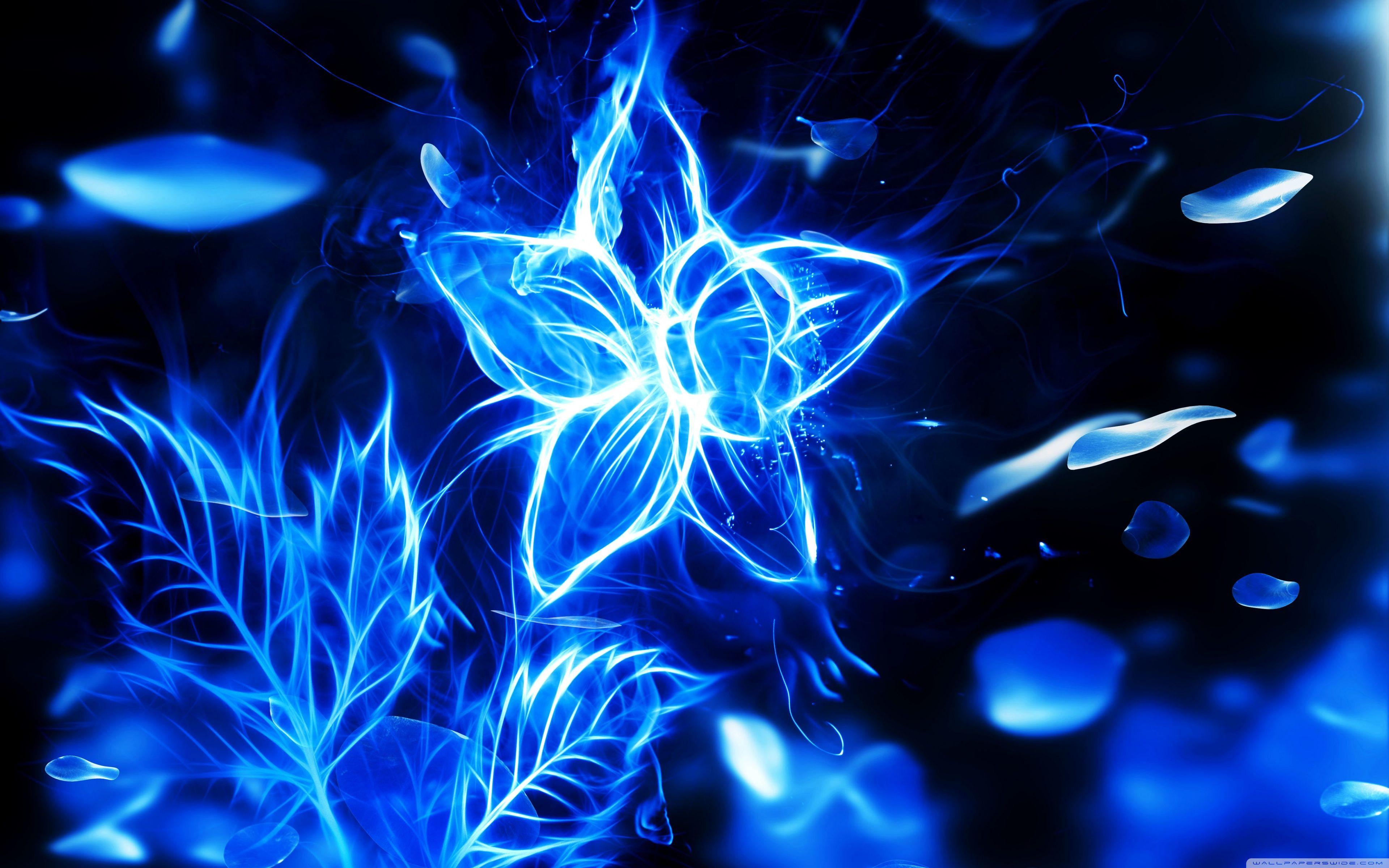 Blue Fire Flower ❤ 4K HD Desktop Wallpaper for 4K Ultra HD TV