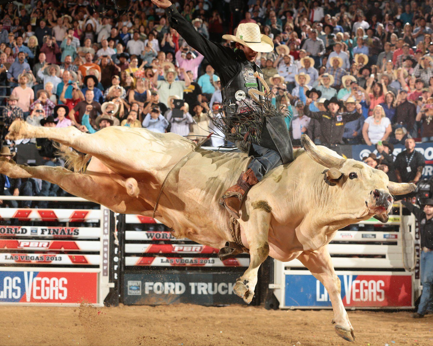 Pbr bull riding wallpaper