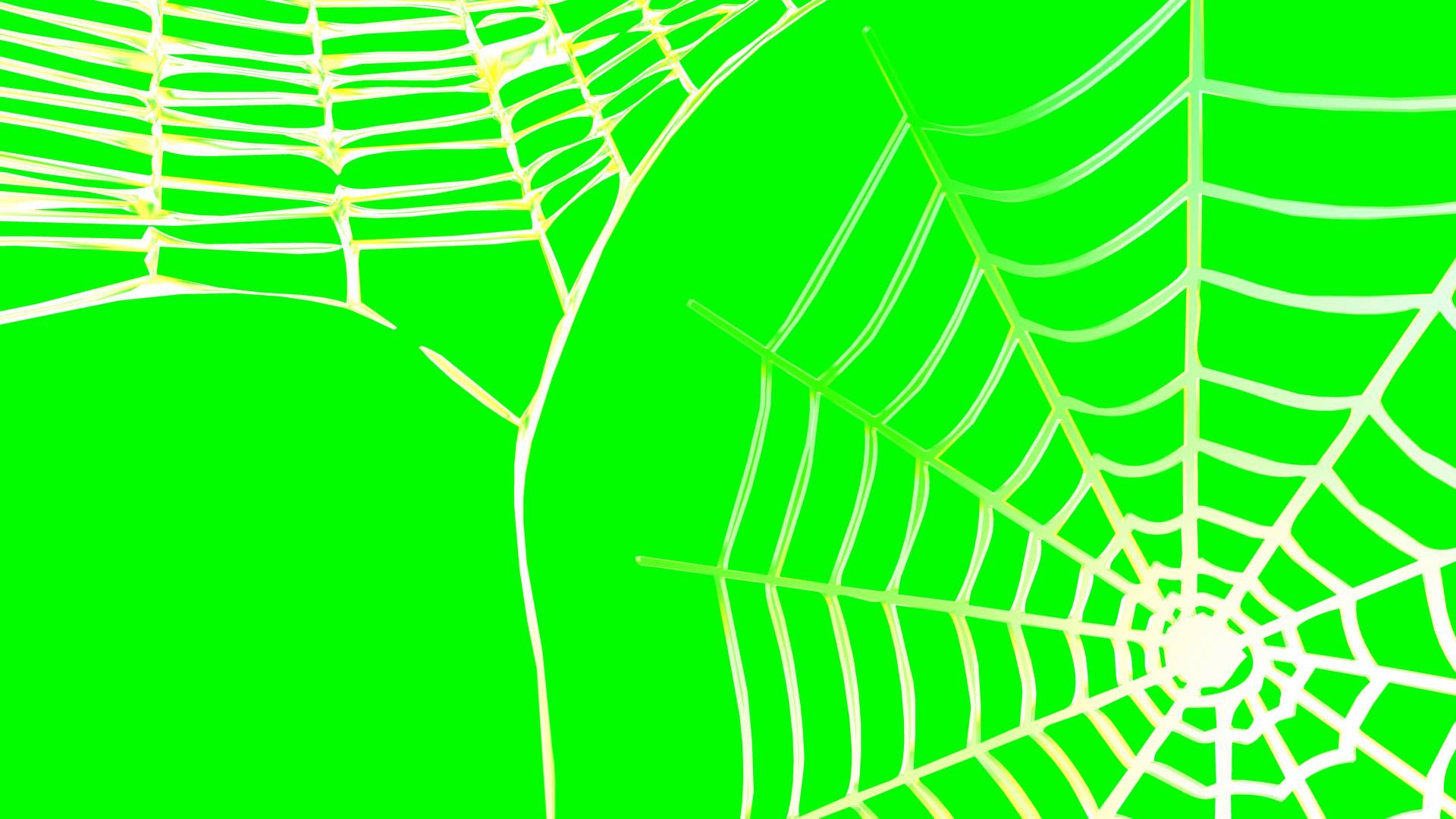 4K Spider Web Rotating Background Animation