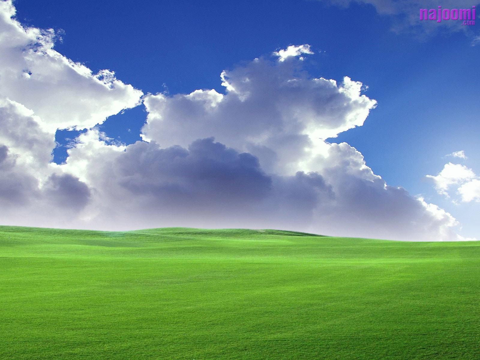 windows xp background original 7. Background Check All