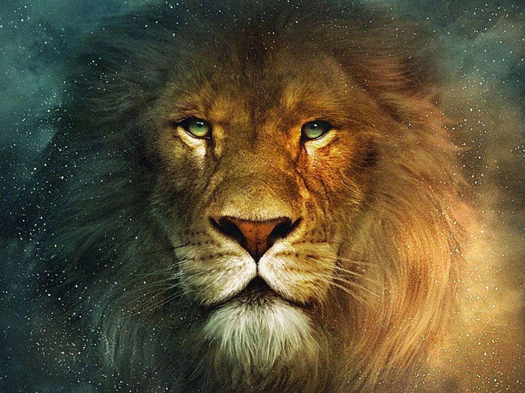 Wallpapers Aslan - Wallpaper Cave