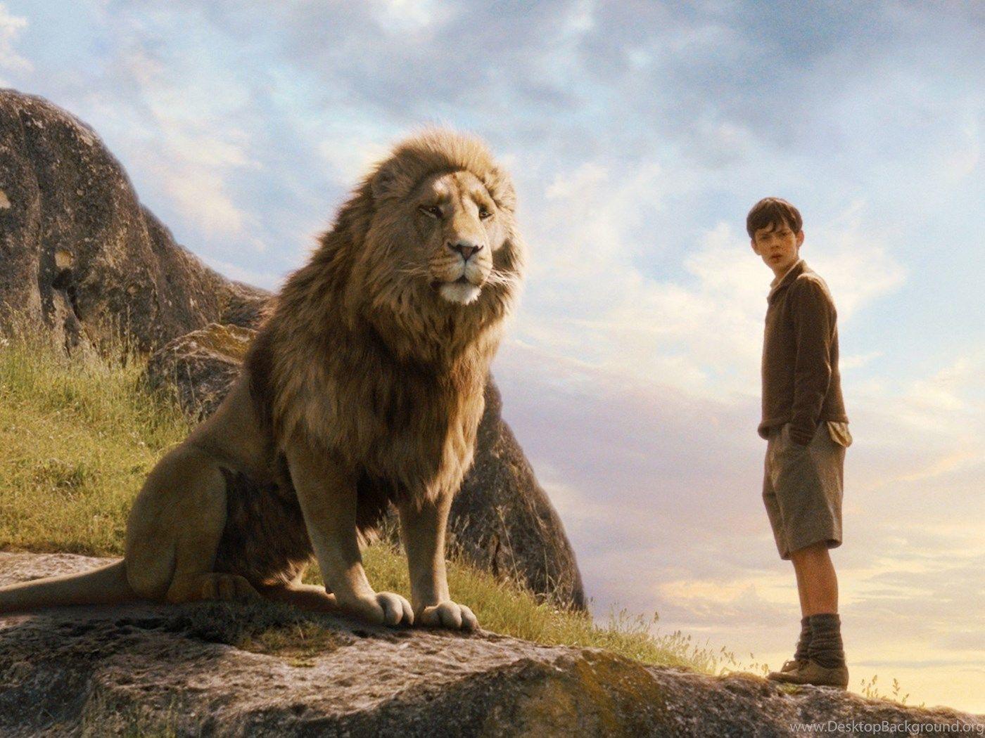 Narnia Lion Aslan Wallpaper Desktop Background