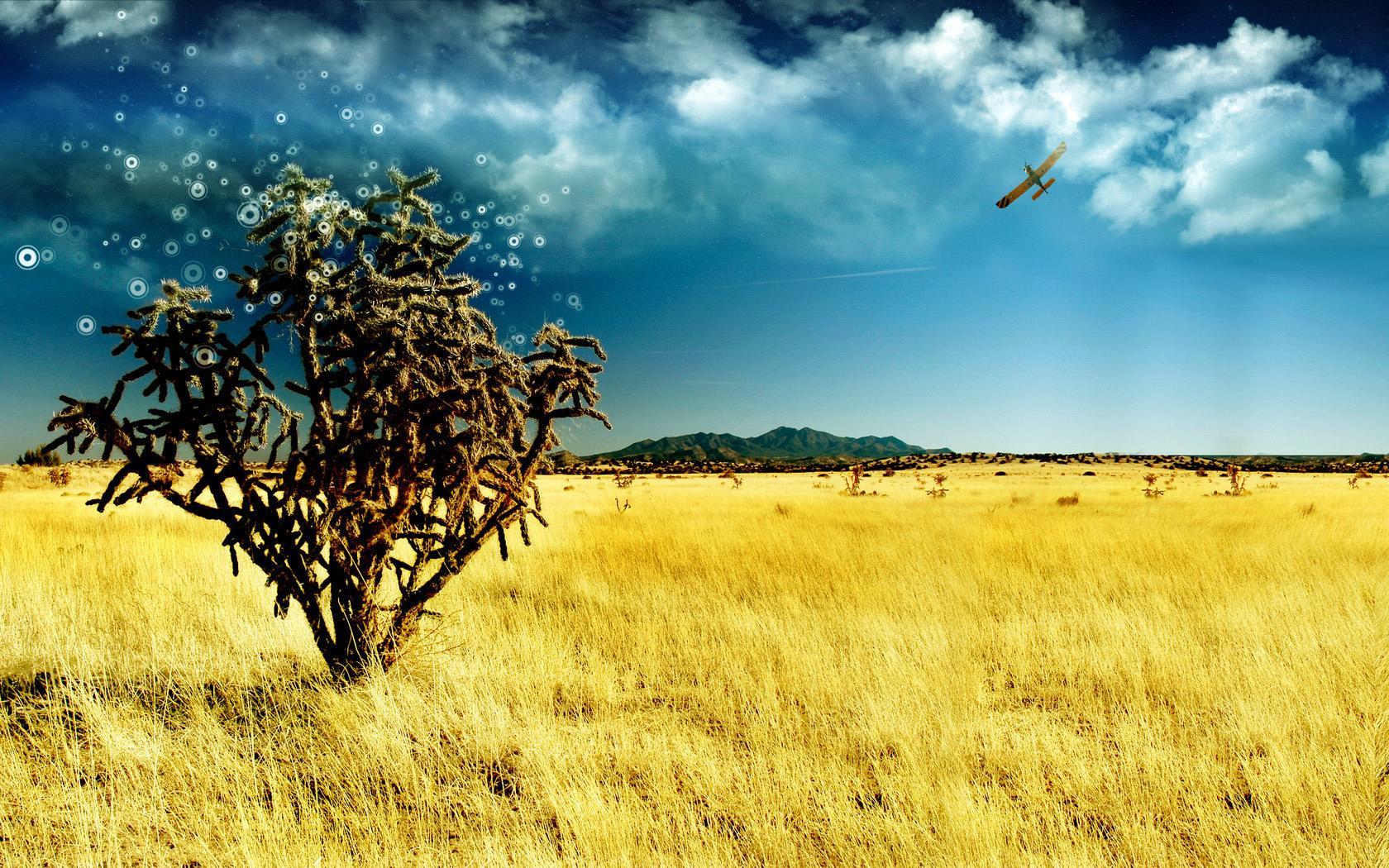 Nature Desktop Background