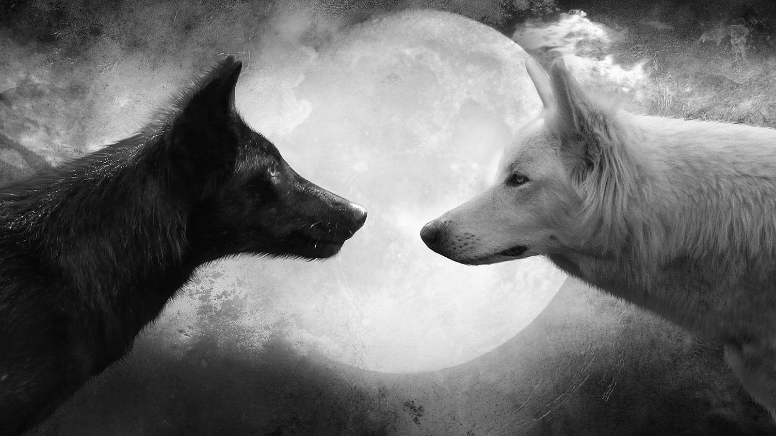 White Wolf, Two Wolves American Legends (Video)