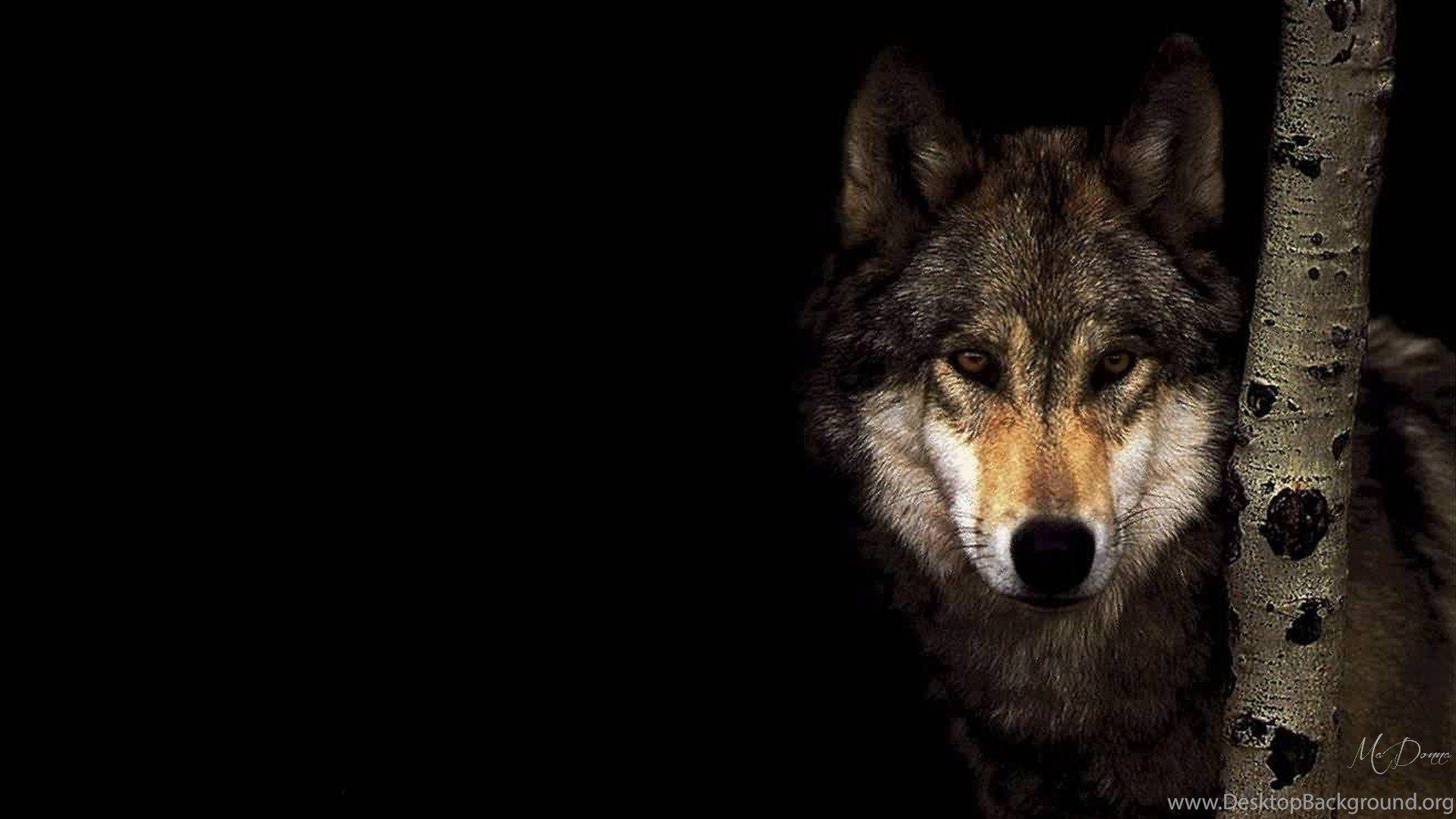 Dogs: Spirit Wilderness Wolf Totem Native American Tree Wild