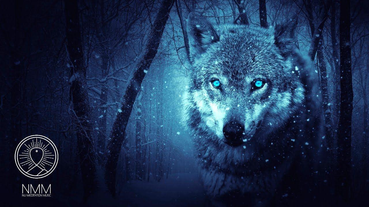 Native American Flute Music: Wolf Instinct, Meditation Music