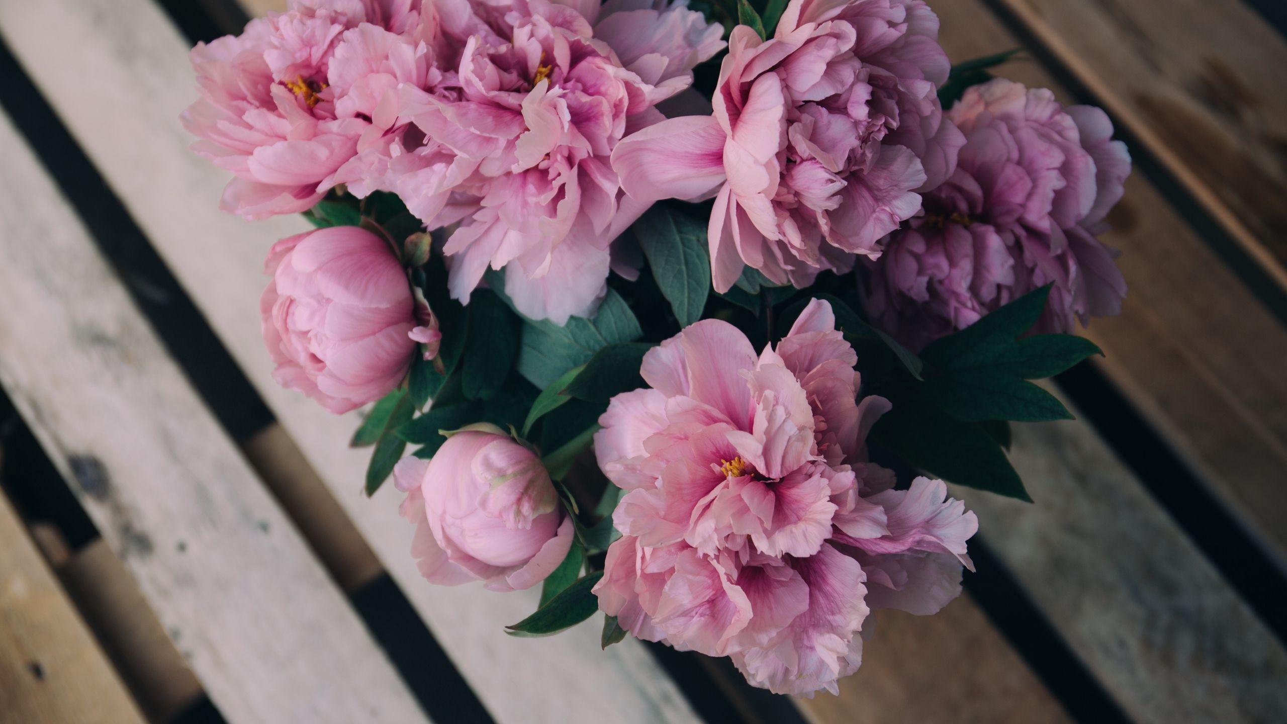 Download wallpaper 2560x1440 peonies, flowers, bouquet, pink