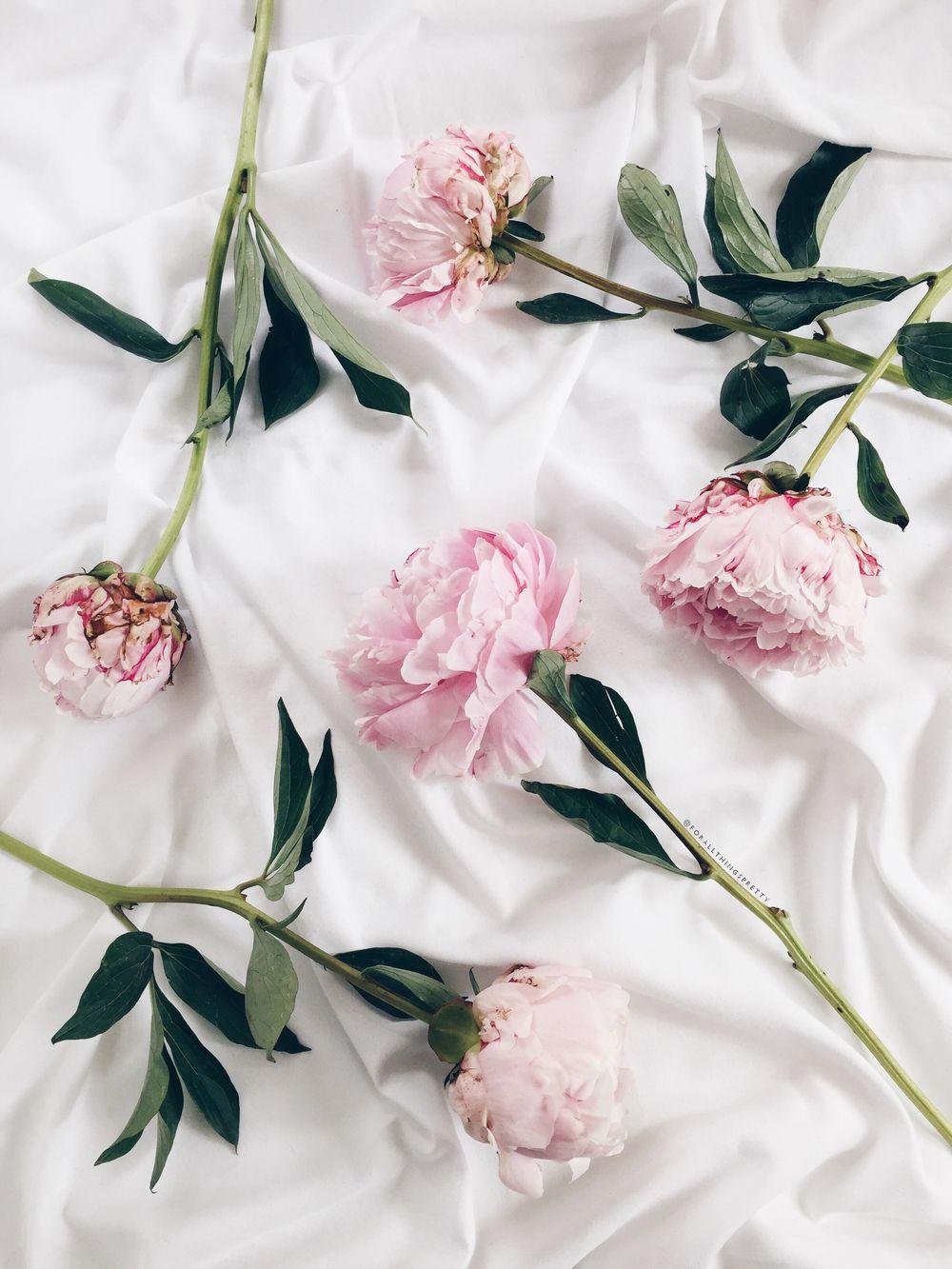 Dress Up Your Tech: Peony Wallpaper