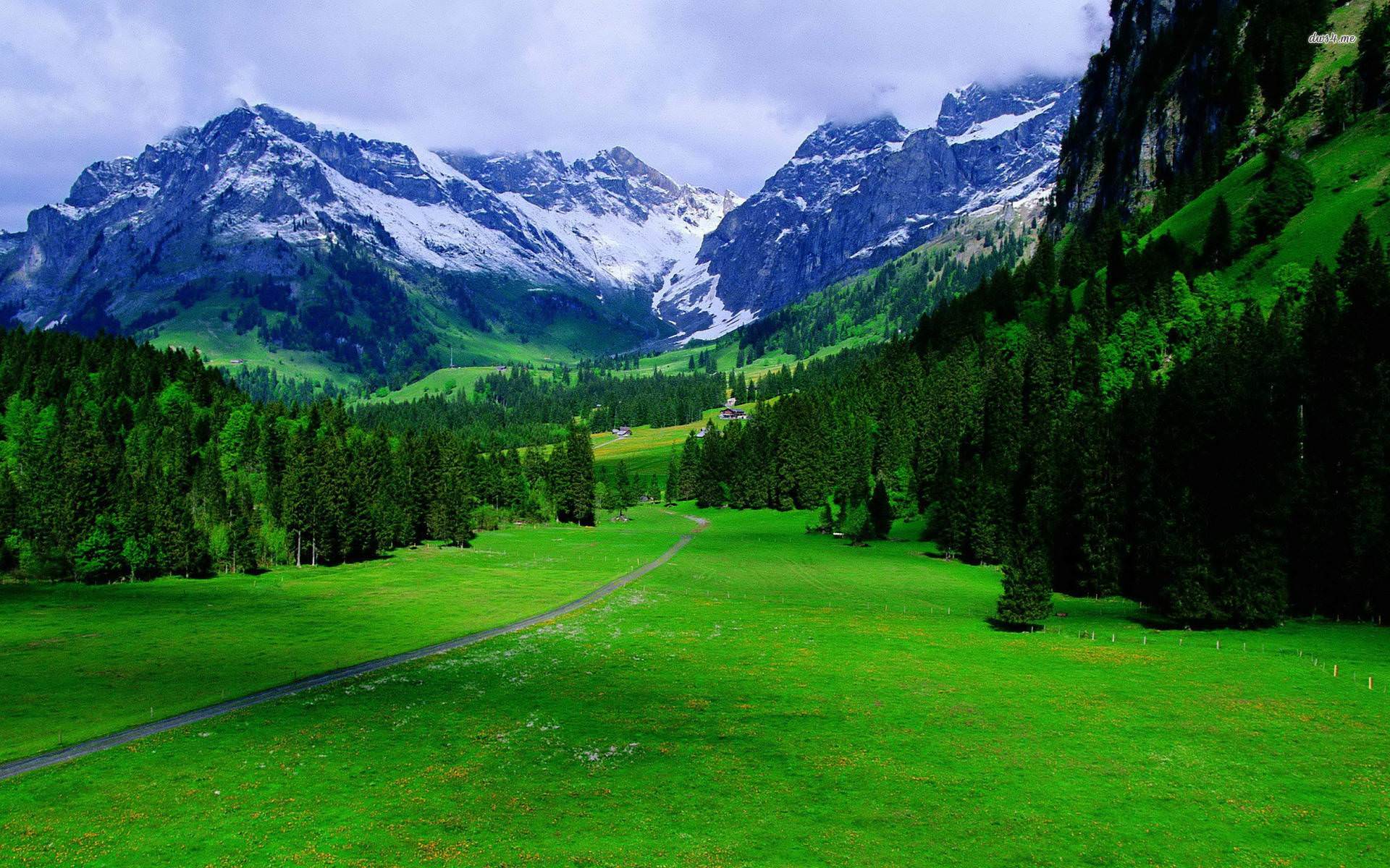 Switzerland nature beauty HD wallpaper. Truly Hand Picked
