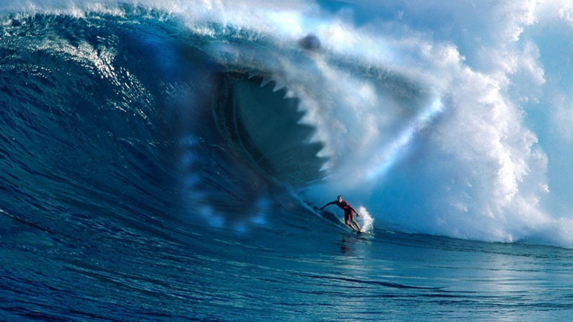 Download Wallpaper 1920x1080 wave, shark, surfing, surfer, teeth