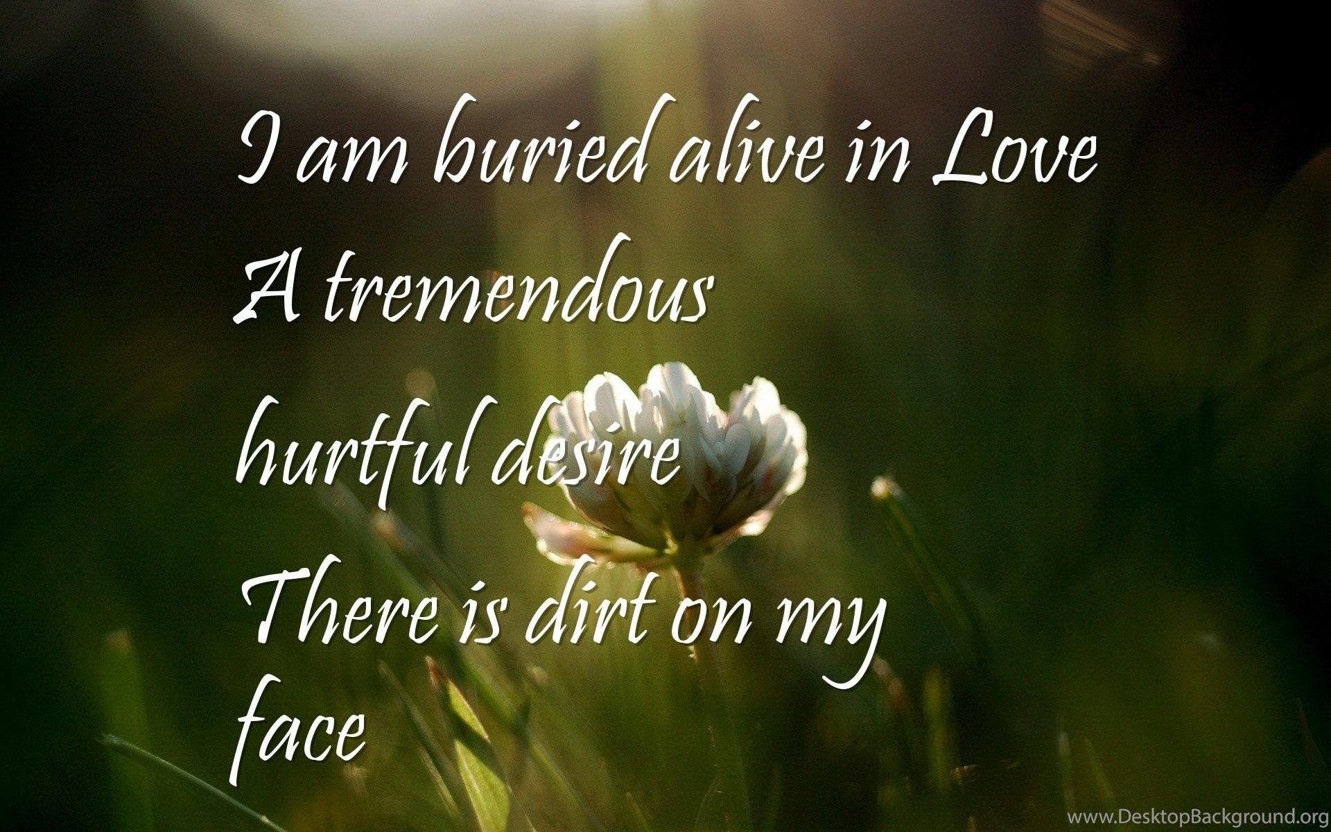 Where To Buy Love Hurts, True Love Quotes Wallpaper I Am Buried