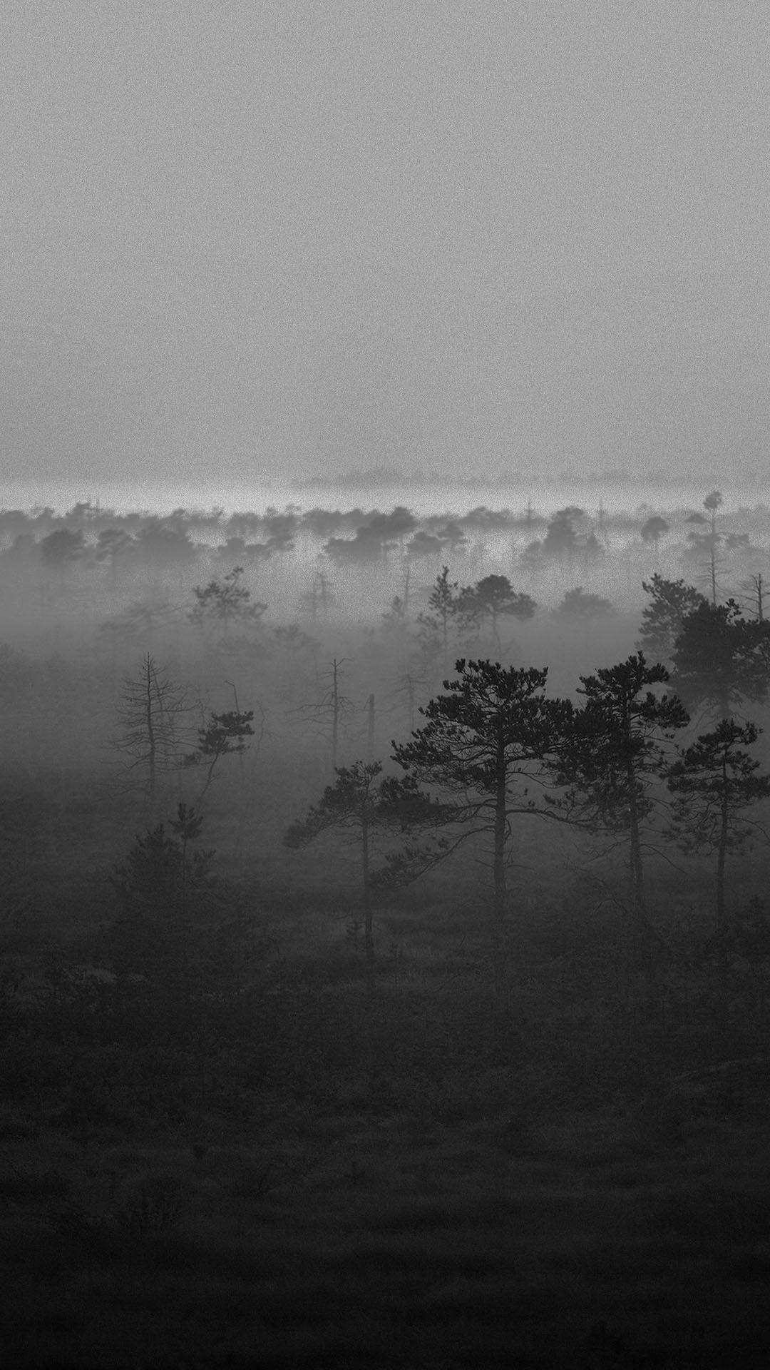 Black White Misty Woods Android Wallpaper free download