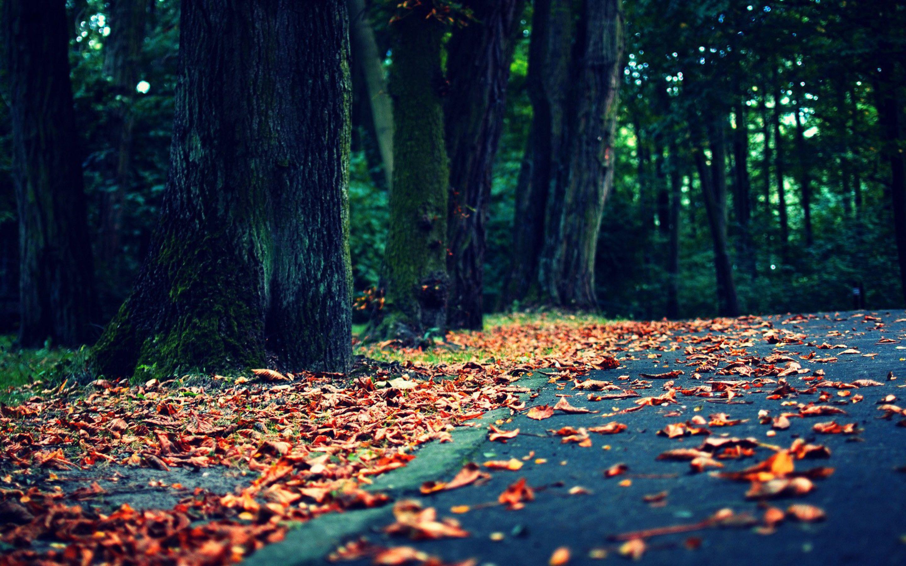 Wallpaper.wiki Vintage Background HD PIC WPE00316