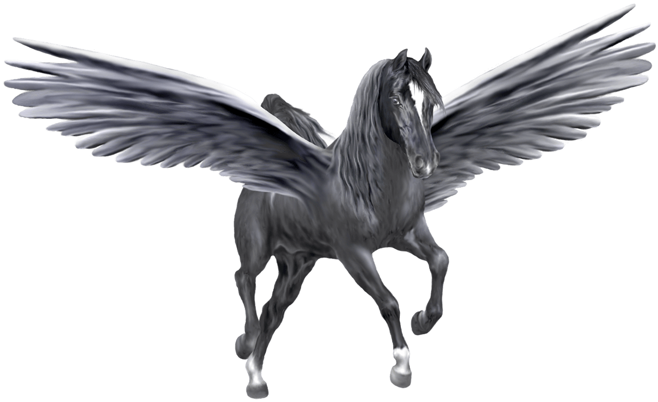 Pegasus PNG Icon. Web Icon PNG