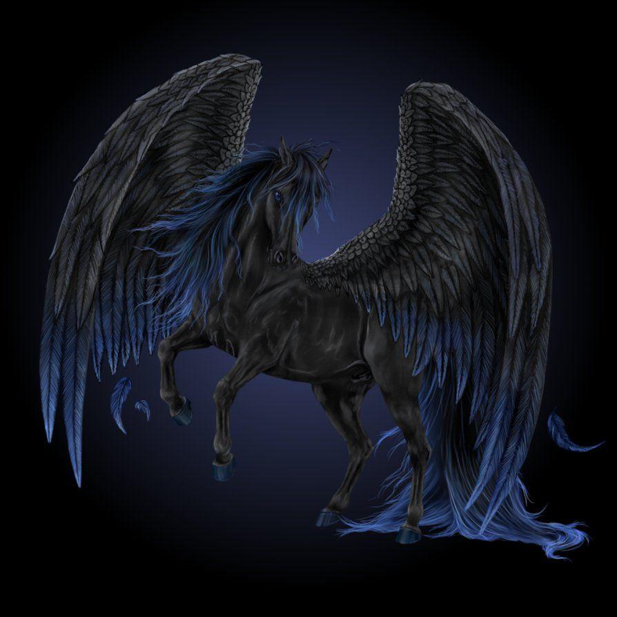 Black Pegasus