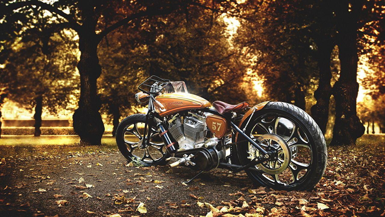 Wallpaper Harley Davidson Foliage Autumn Motorcycles