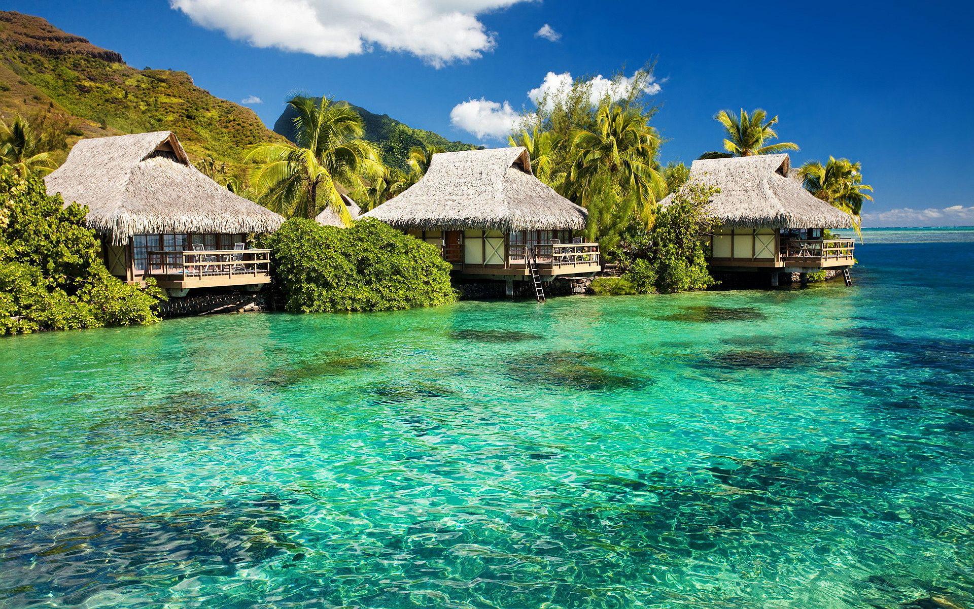 Jamaica desktop wallpaper Gallery