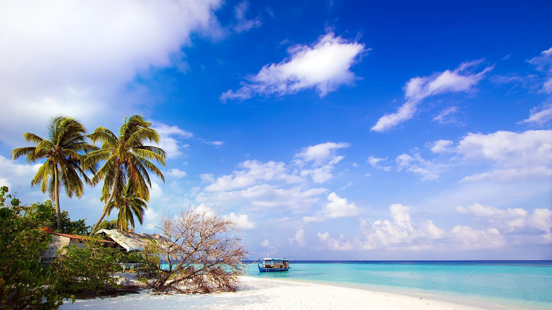 Jamaica Beach Wallpaper 3 HD Wallpaper Free