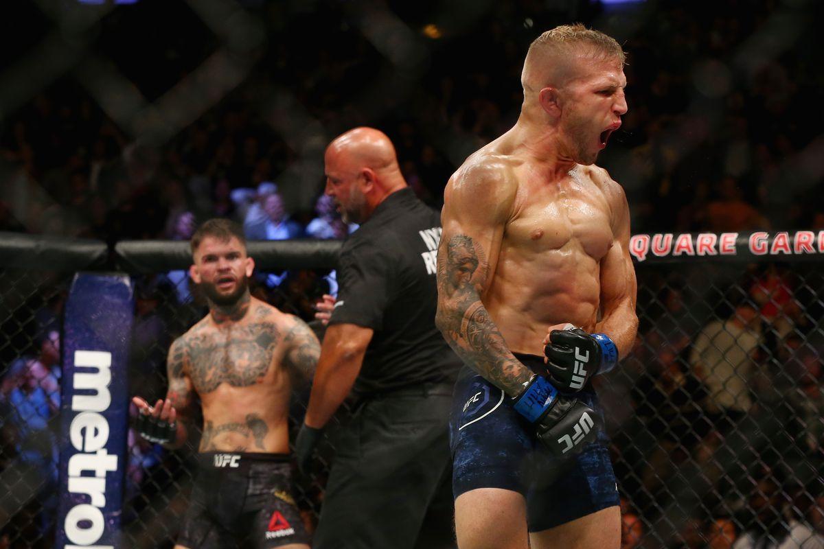 Report: T.J. Dillashaw vs. Cody Garbrandt rematch set for UFC 227