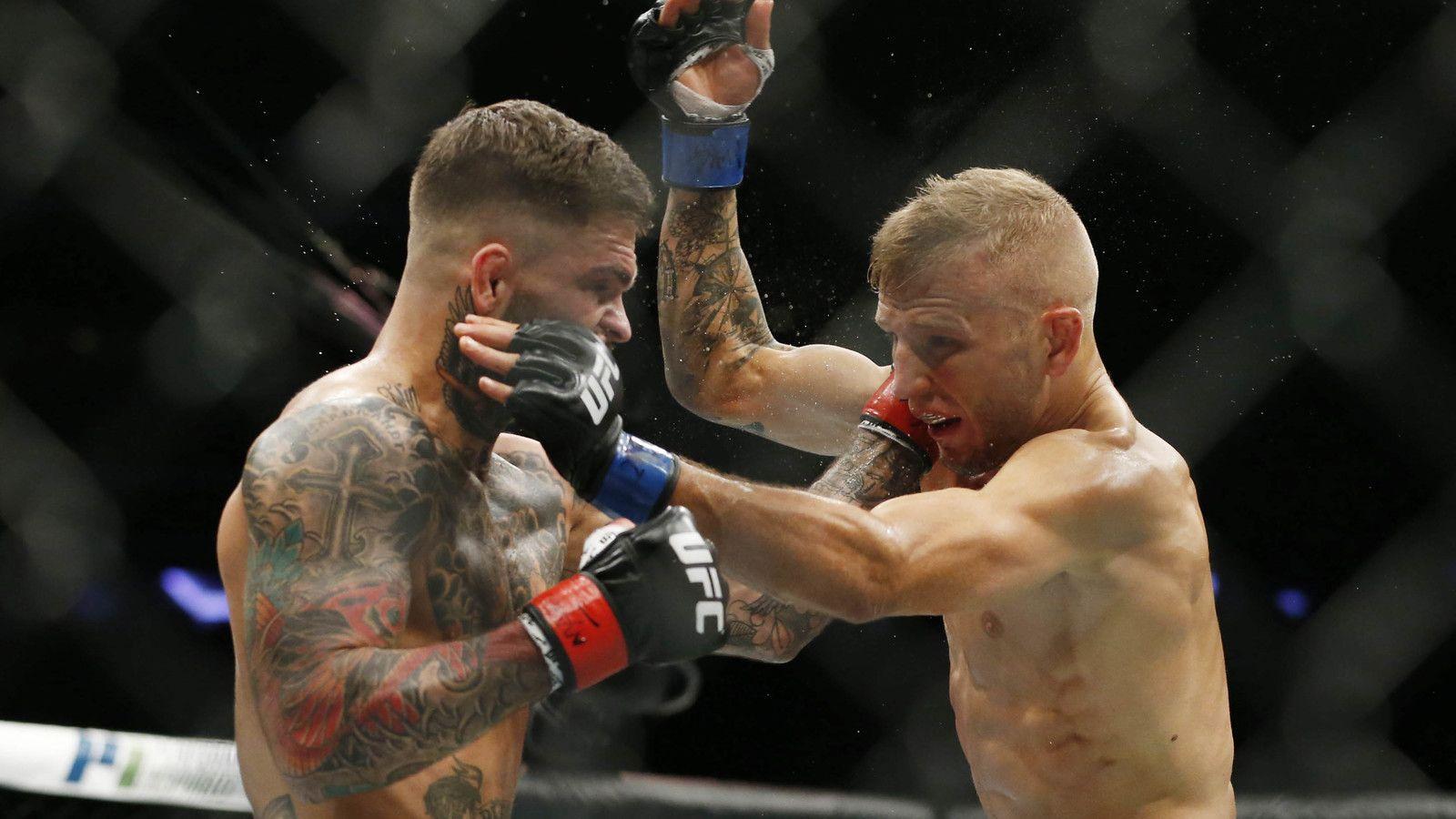 Dillashaw to defend belt against Garbrandt at UFC 227