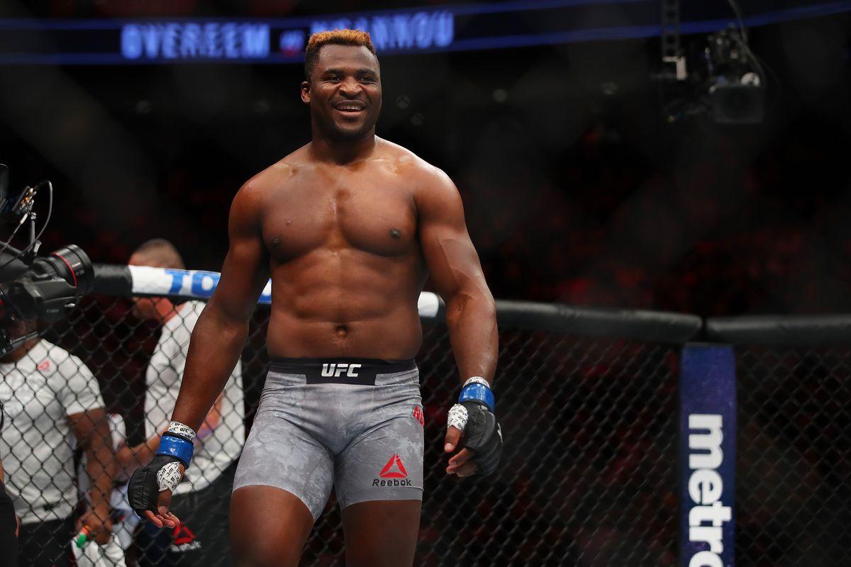 Fabricio Werdum will submit Francis Ngannou and become UFC champion