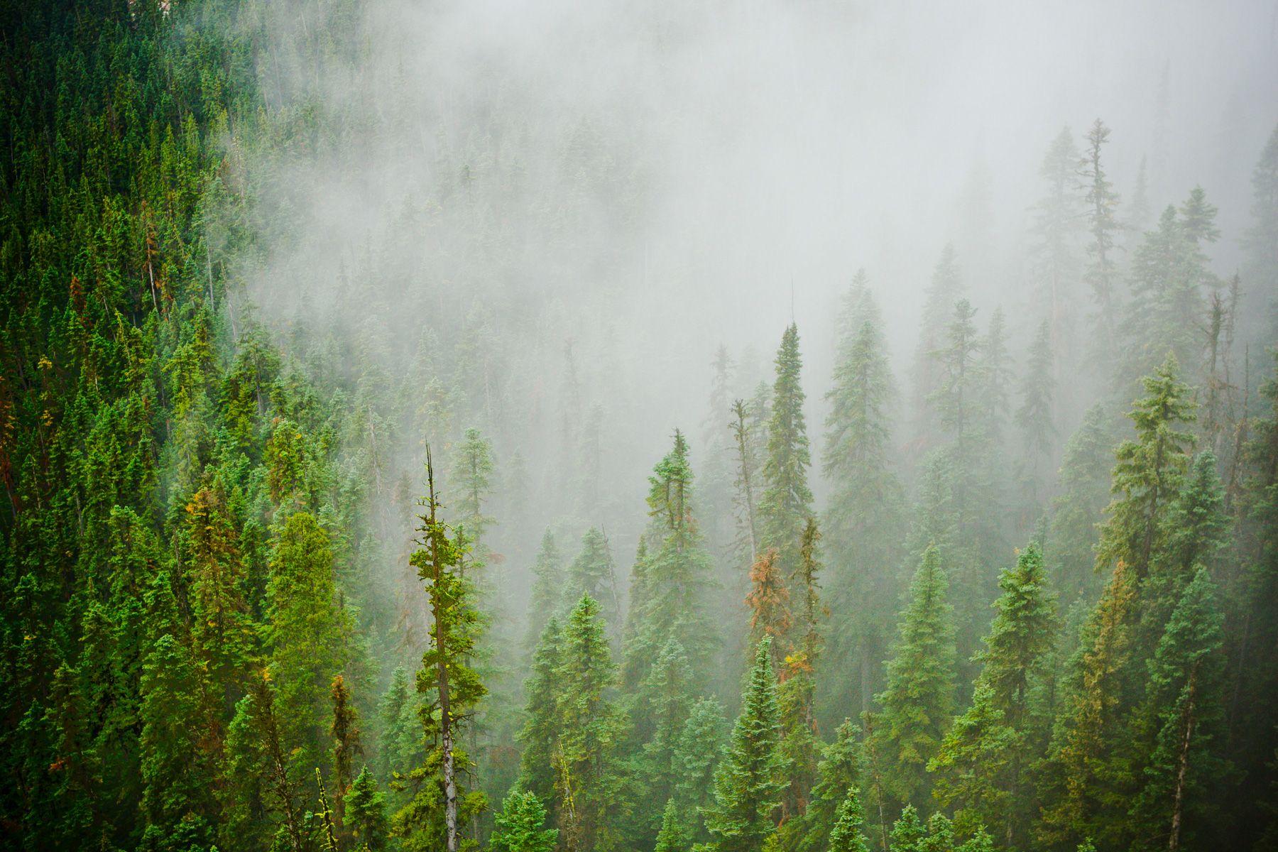 PFC in outdoor products / News / Arc'teryx