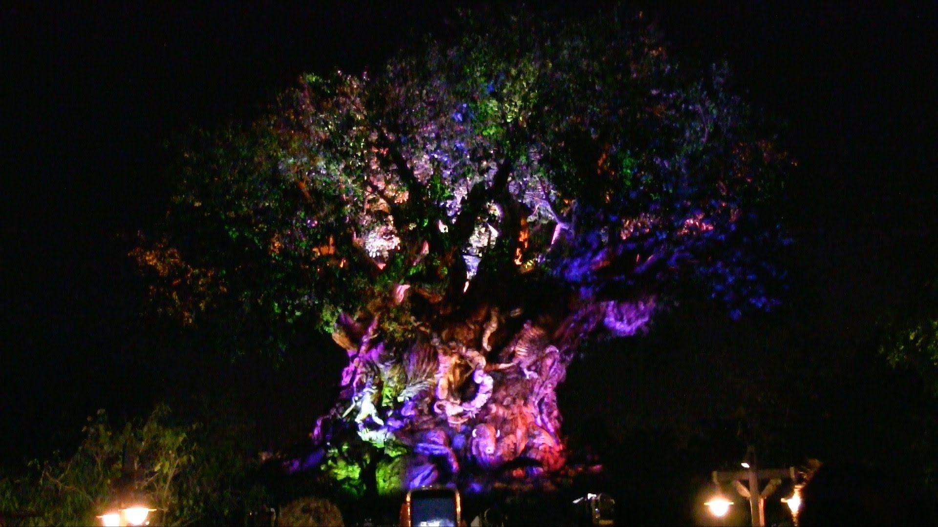 Tree of Life Awakenings at Disney's Animal Kingdom