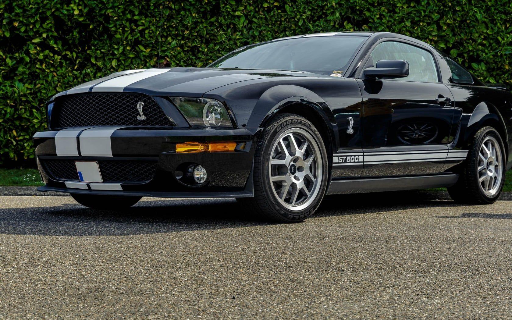 Black and white Shelby Mustang GT 500 HD wallpaper