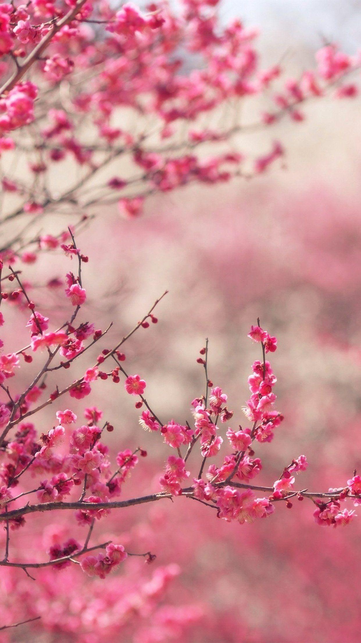 iPhone 8 wallpaper. pink blossom nature
