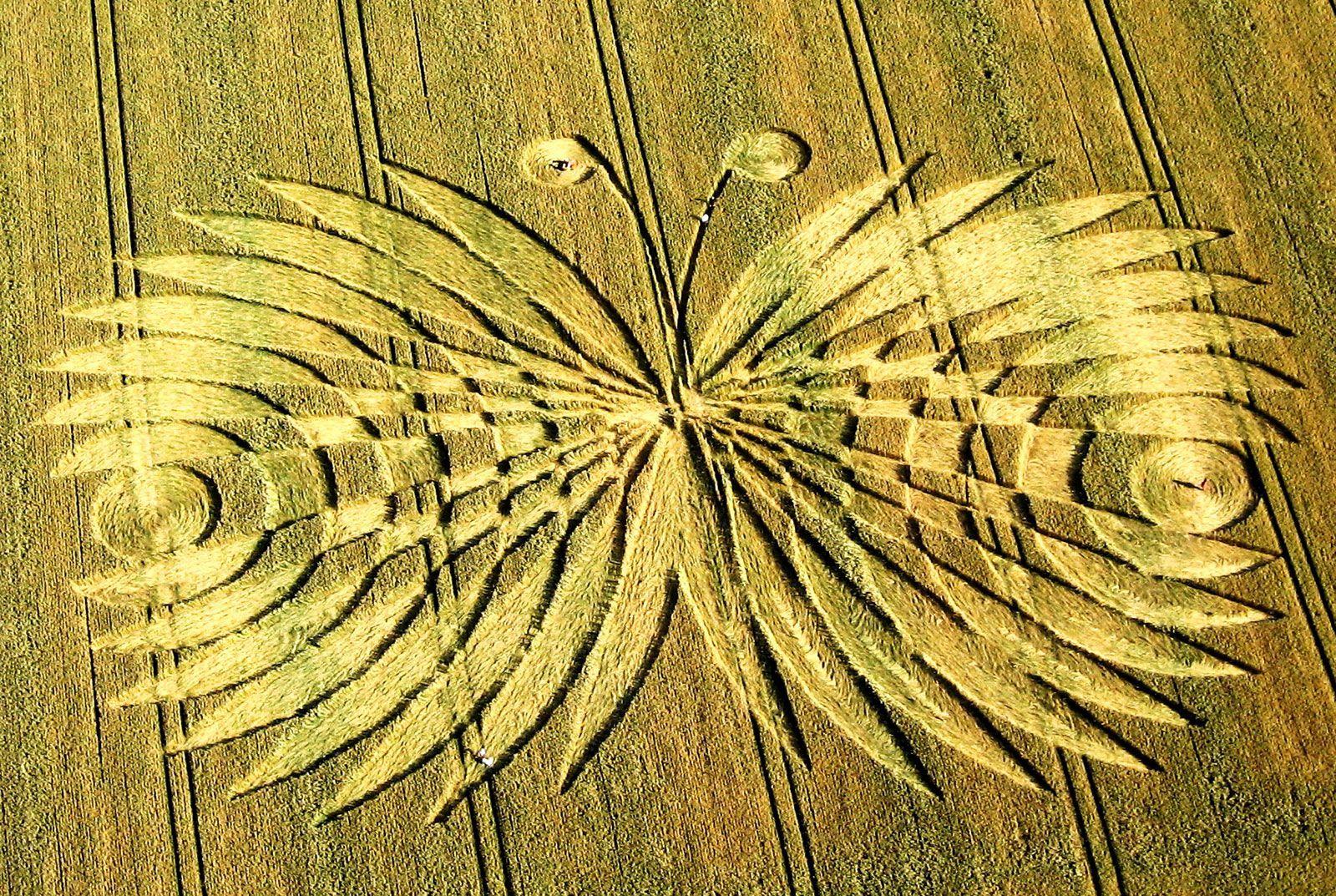 Wiltshire Mysteries What arouses your curiosity?. Crop Circles