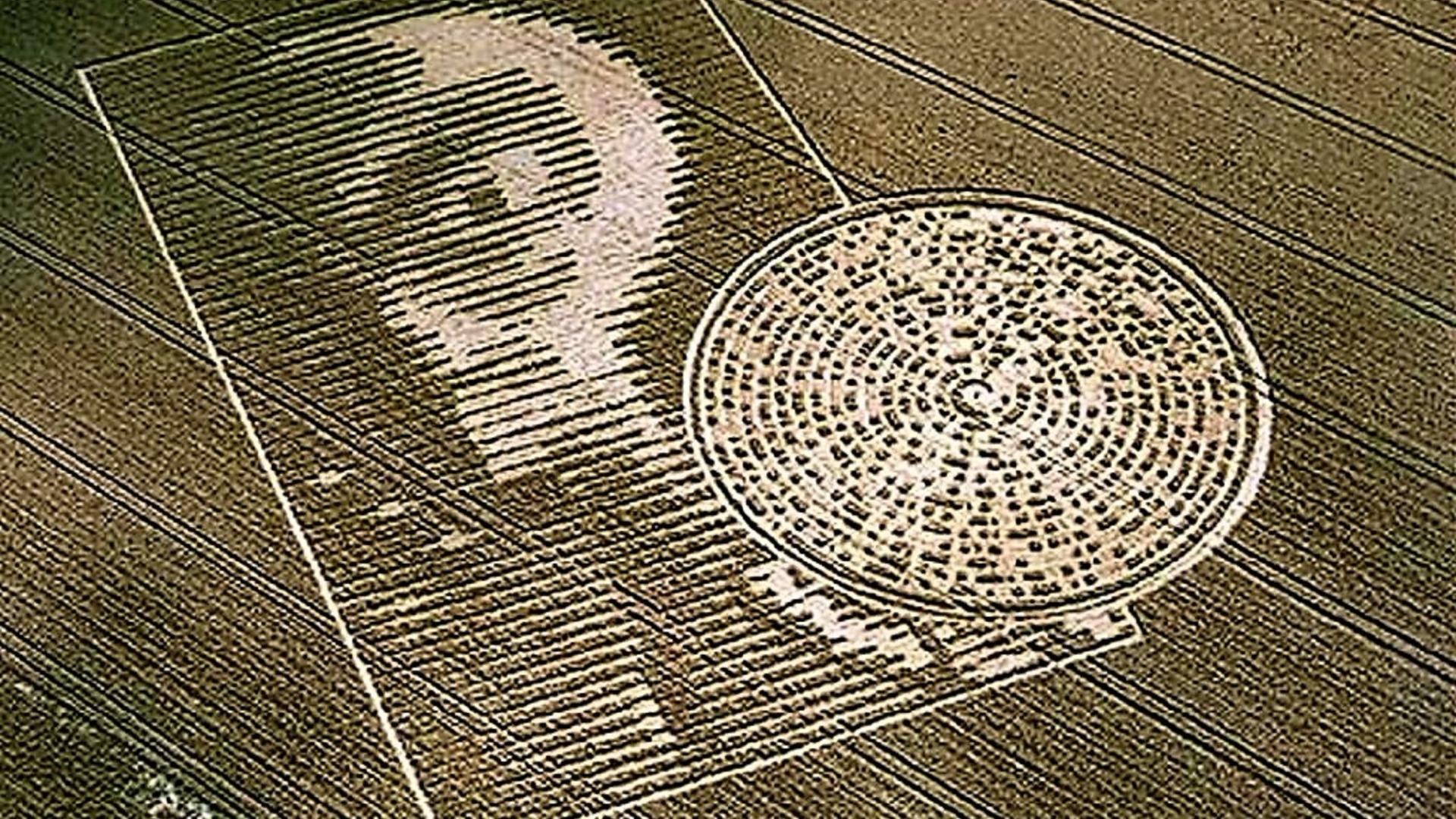 The Alien Face Crop Circle, Hampshire Wallpaper