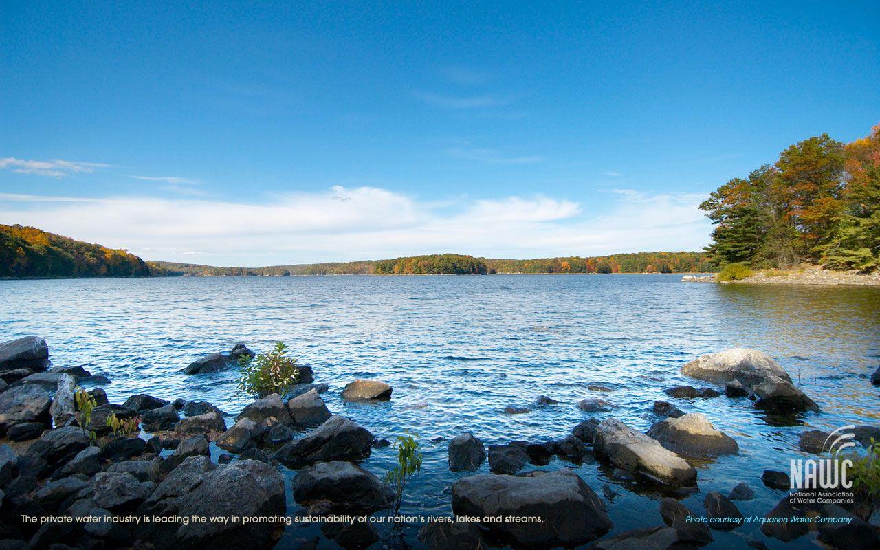 NAWC, Member Wallpaper