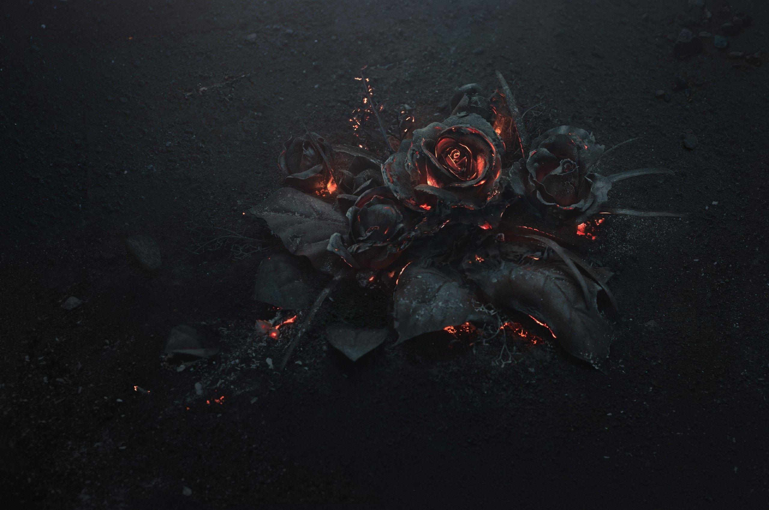 Download 2560x1700 Rose Ashes, Fire, Black, Dark Theme Wallpaper