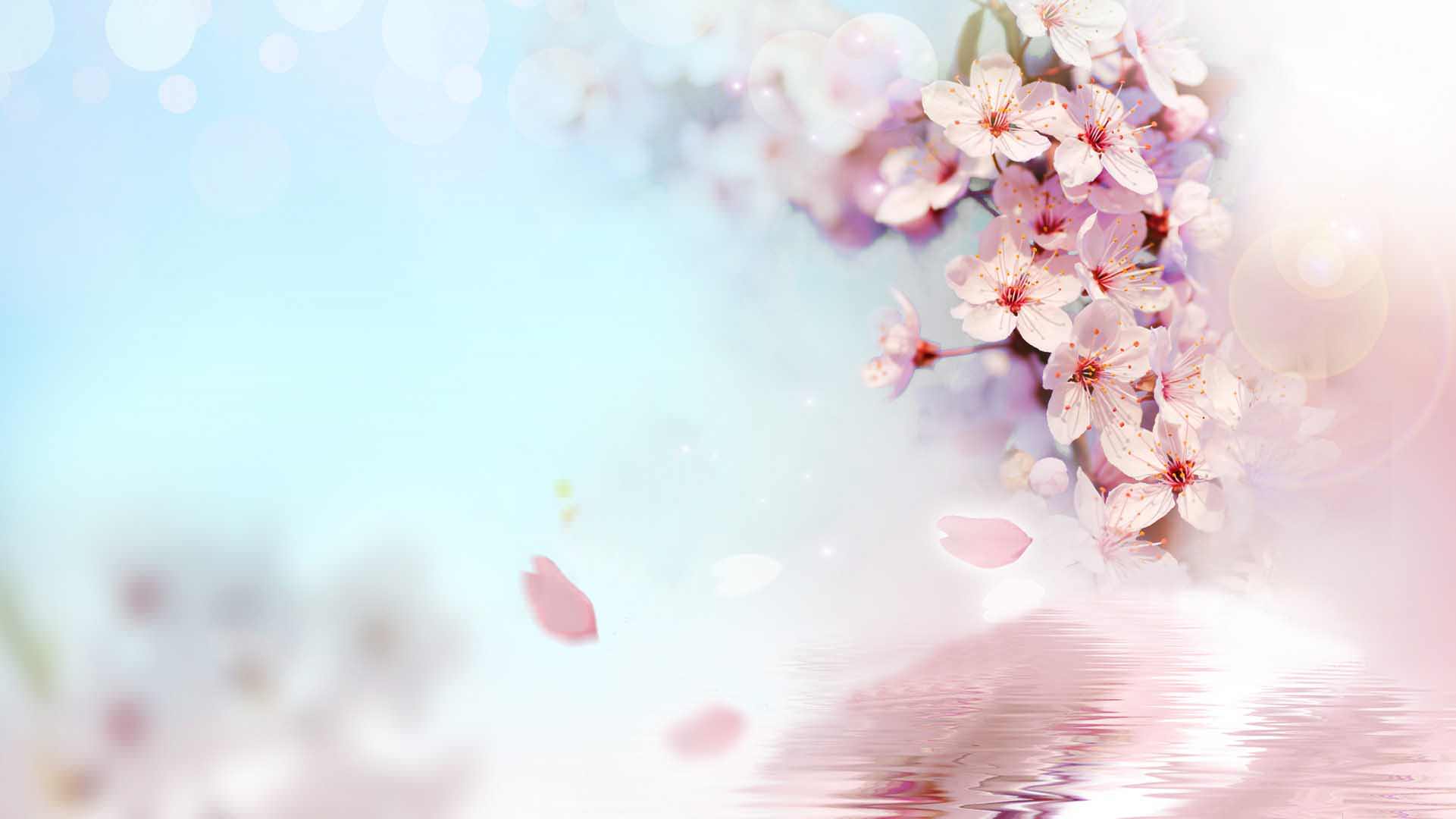 Hãy cùng lắm ngóng mùa xuân bằng những bức hình nền đào đẹp nhất. Với sắc hồng ngọt ngào và mềm mại, những bông hoa đào trở thành nguồn cảm hứng vô tận cho những tâm hồn đam mê nghệ thuật. Hãy tải ngay những hình nền đào này và thư giãn với vẻ đẹp thiên nhiên tuyệt vời.